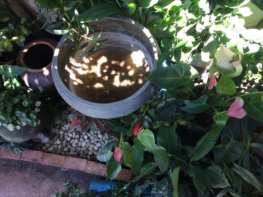 Bed and Breakfast Sister House Chiangmai (Adults Only) Чіангмай Екстер'єр фото